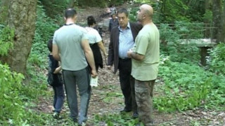 Маркират дървета след премазаното дете в Шумен