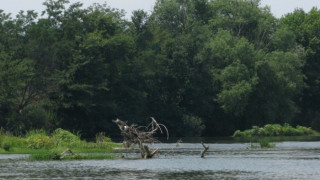 Потопът се отменя