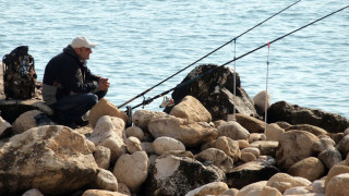 Без цаца и скумрия на морето