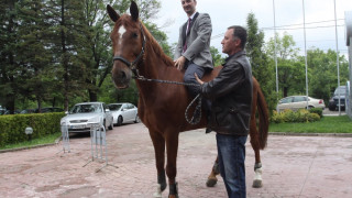 Веско Топалов яхна кон пред "Банкя Палас"