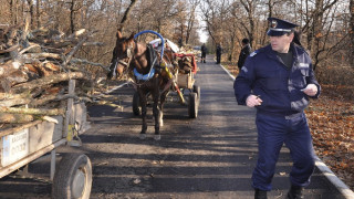 Всеки десети полицай с язва