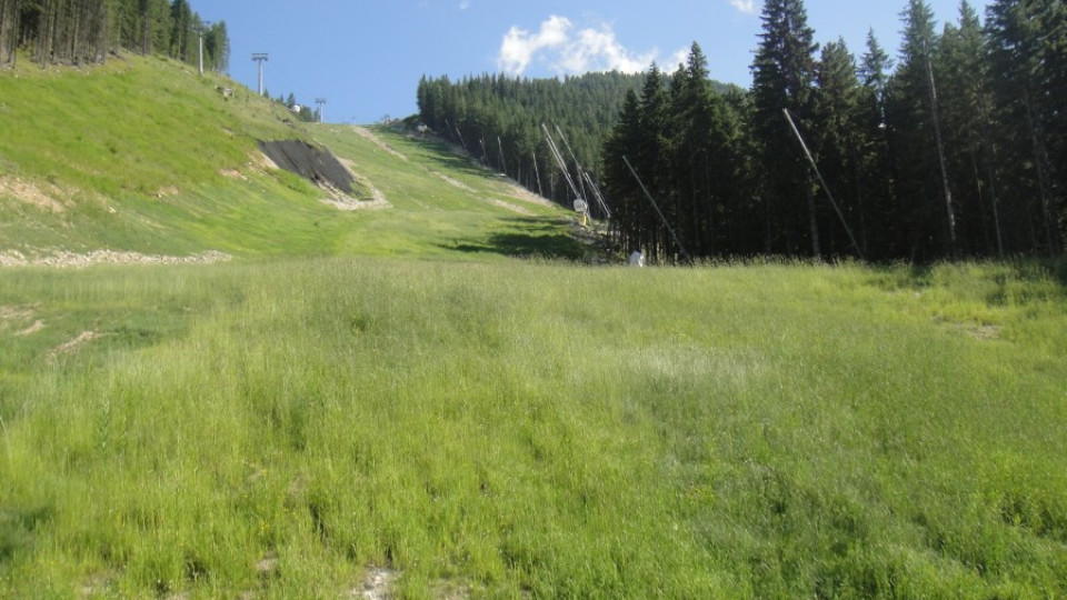 ЮНЕСКО: Ски пистите не пречат на природата в Банско | StandartNews.com