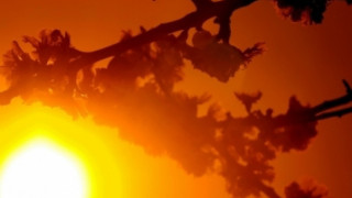 Жълт код в цялата страна заради жегите