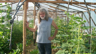 Продават зеленчуци по интернет