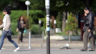 Фандъкова иска идеи за кучетата, а не призиви за оставки