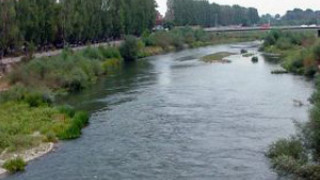 Заради крава мъж се удави в Марица