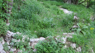 Търсят тракийско светилище при Вратцата