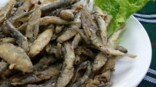 Певици надуват цената на цацата