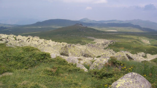 Пожар гори в Бистришко бранище на Витоша 