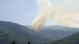 Няма опасност за хората заради пожара на Витоша