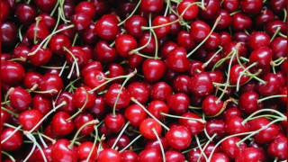 Задигнаха тон череши за една нощ