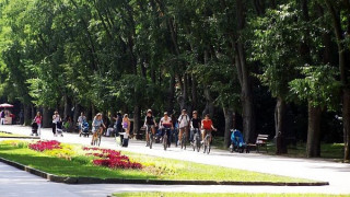 Капан от падащи дървета в Борисовата градина