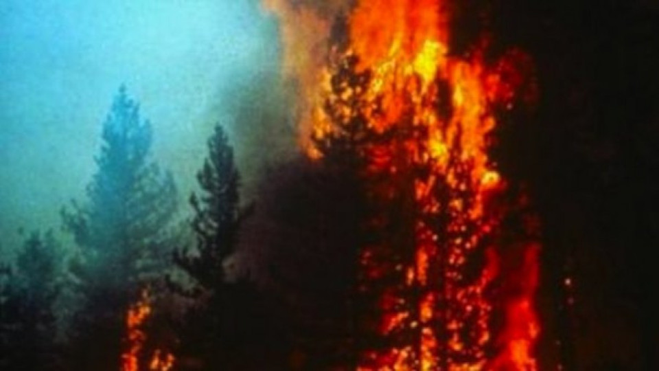 Лумна пожар в Плана планина | StandartNews.com