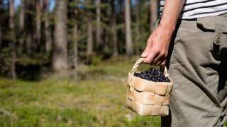 Шведите освободиха заподозрян за трафик на хора българин