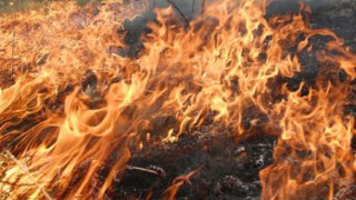 Пожар обхвана 700 дка, пълзи към къщите на с. Сокол