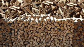 Удрят първите бракониери на дърва за огрев