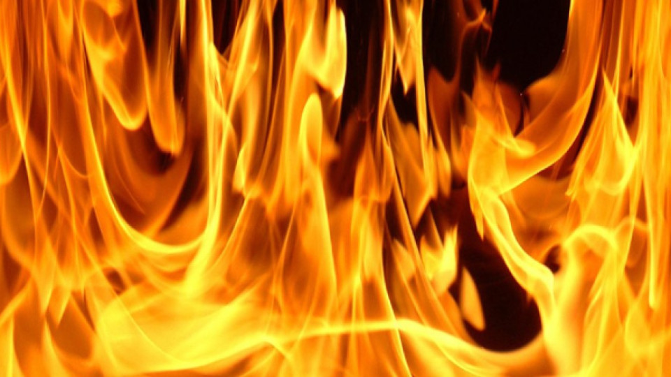 Старица изгоря в пожар | StandartNews.com