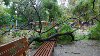 Клон премаза кола в центъра на столицата