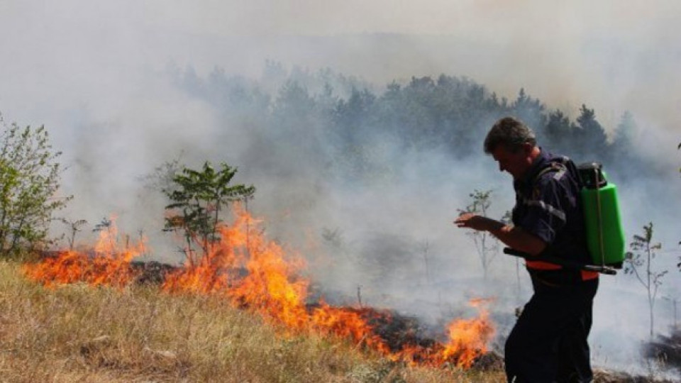 Пожарът в Несебър и Поморие е овладян | StandartNews.com