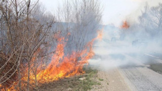 Изгоряха десет декара гора в Долно Луково