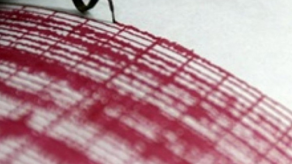 Нарязаха стотици тениски "Гучи"-менте | StandartNews.com