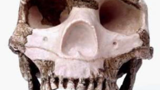 12 гинат в атентат с кола-бомба