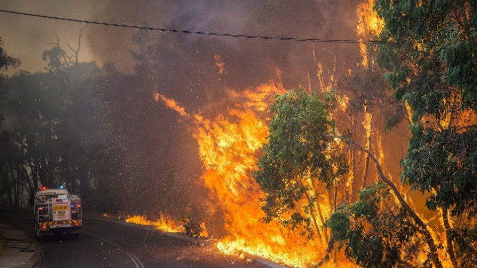 Рекордни жеги и пожари в Австралия | StandartNews.com