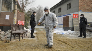 Птичият грип взима жертви в Китай