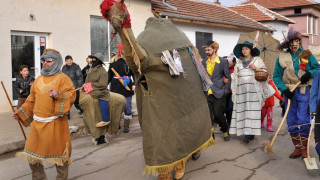 В Габровница гонят злото с камила