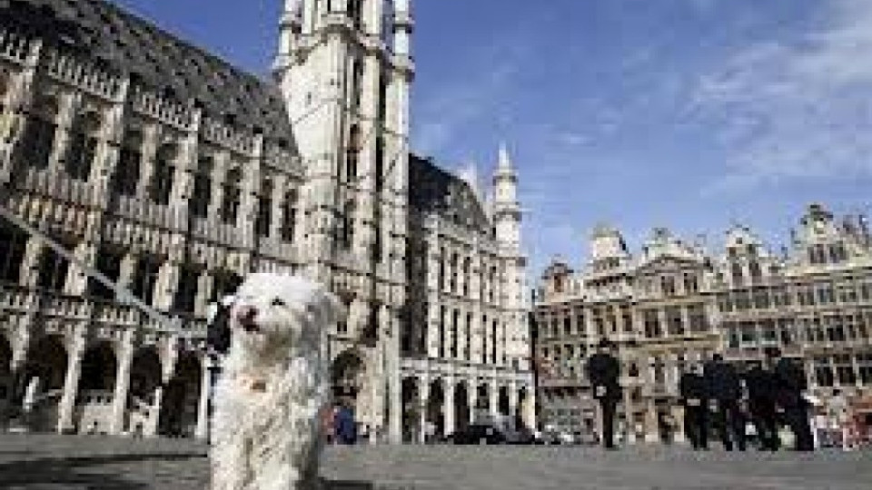 Белгия функционира успешно и без правителство | StandartNews.com