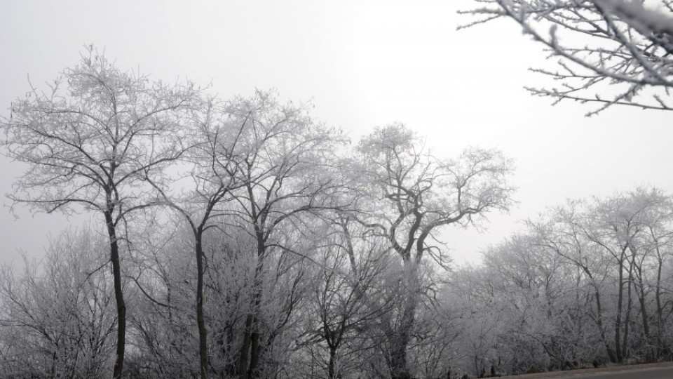 Жълт код за снеговалежи и поледици в 5 области на страната | StandartNews.com