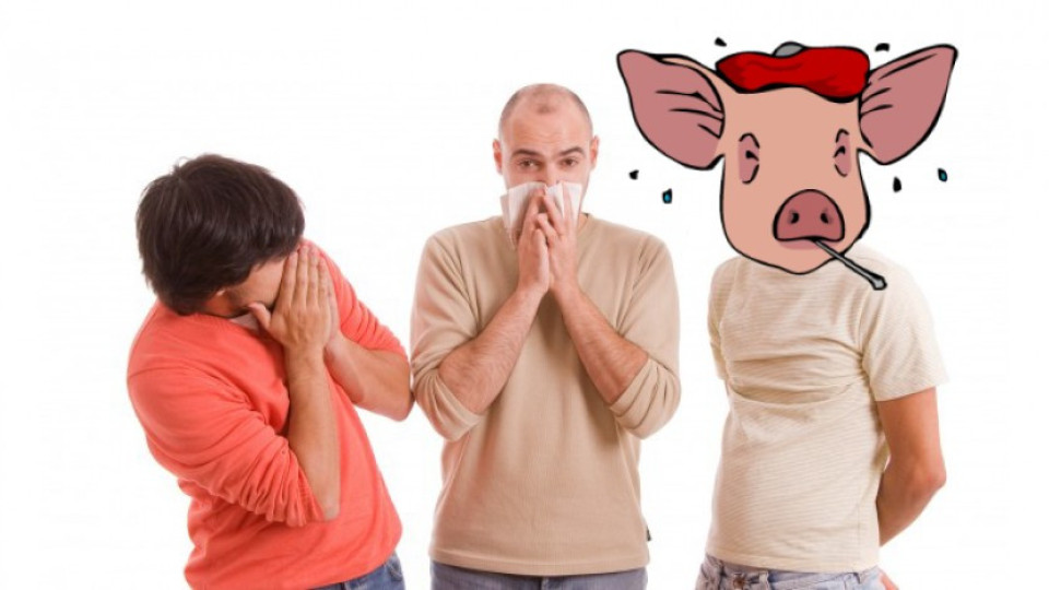 Любопитно за свинския грип | StandartNews.com
