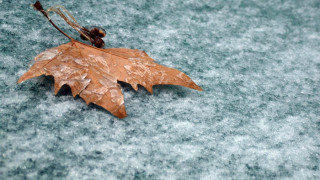 В понеделник студът смразява Североизточна България