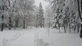 Варна е цялата снежна