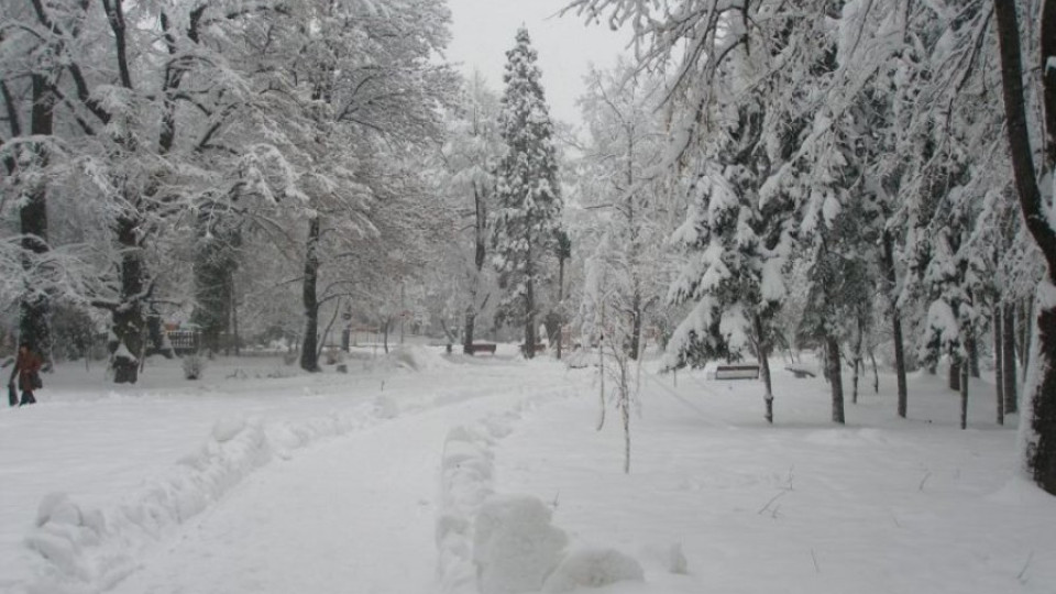Варна е цялата снежна | StandartNews.com