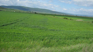 Пускат парите за фермерите
