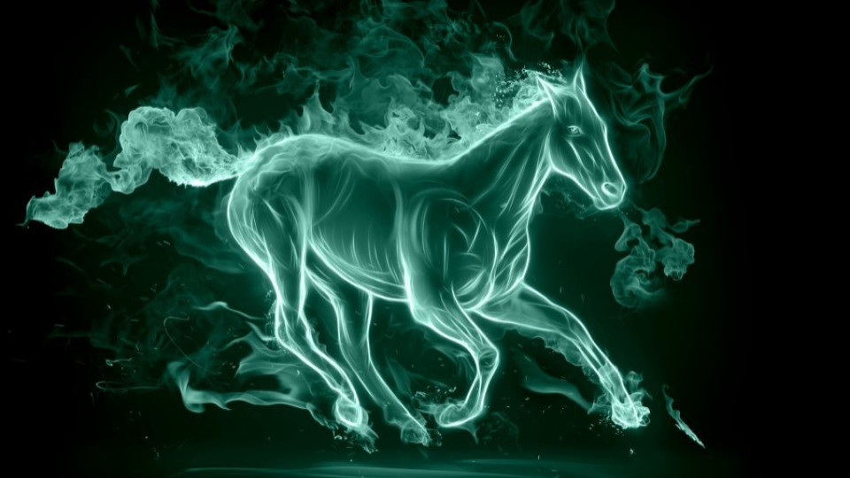 Сините коне - галоп с дързост и красота | StandartNews.com