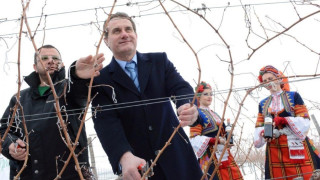 Швейцарци и китайци зарязаха БГ лозята 