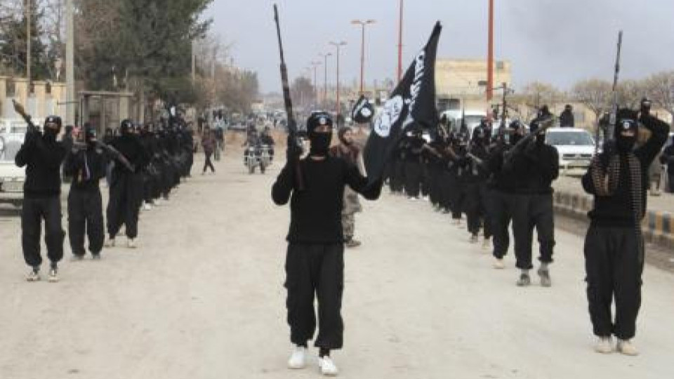"Ал Кайда" се отрече от клона си в Сирия | StandartNews.com