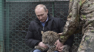 Путин влезе в клетка на леопард