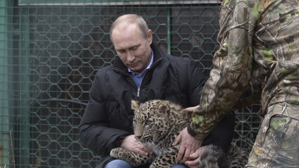 Путин влезе в клетка на леопард | StandartNews.com