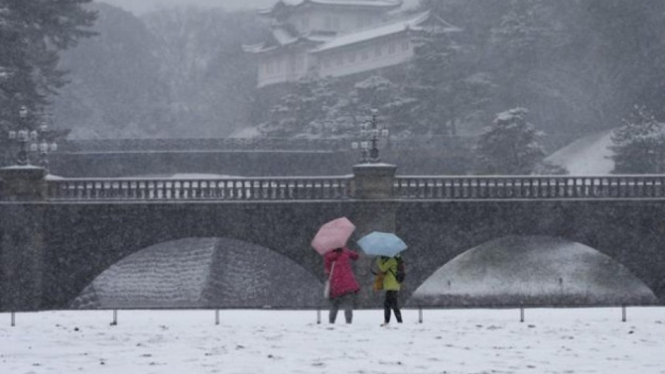 Силна снежна буря скова Япония | StandartNews.com