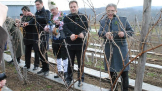 Търновският кмет прави вино по семейна рецепта