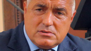Бойко счита Пеевски за държавник