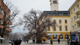 Поканиха патриарха да подкрепи Стария бряст