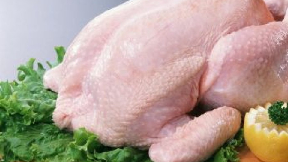 БАБХ: Няма хормони в птичето месо | StandartNews.com