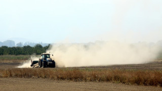 Нивите поевтиняват