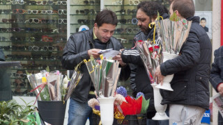 Данъчните спипаха два обекта за цветя в Добрич