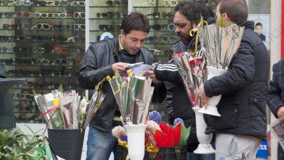 Данъчните спипаха два обекта за цветя в Добрич | StandartNews.com