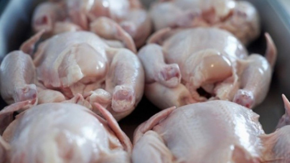 Греков: Няма данни за хормони в българските пилета | StandartNews.com